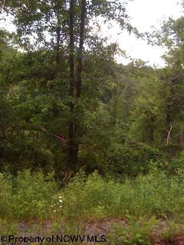 Lot 4 David Daniels Drive