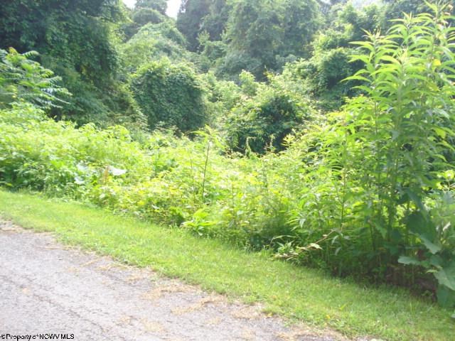 107 Mazewood Drive