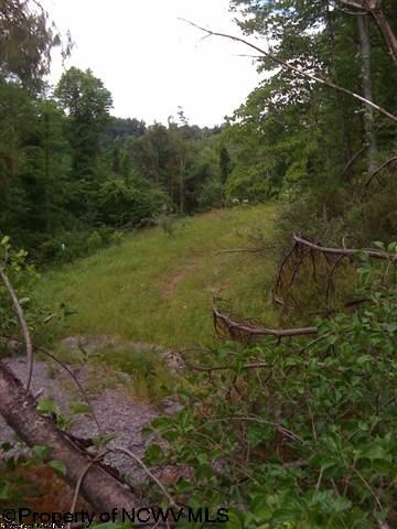 107 Mazewood Drive