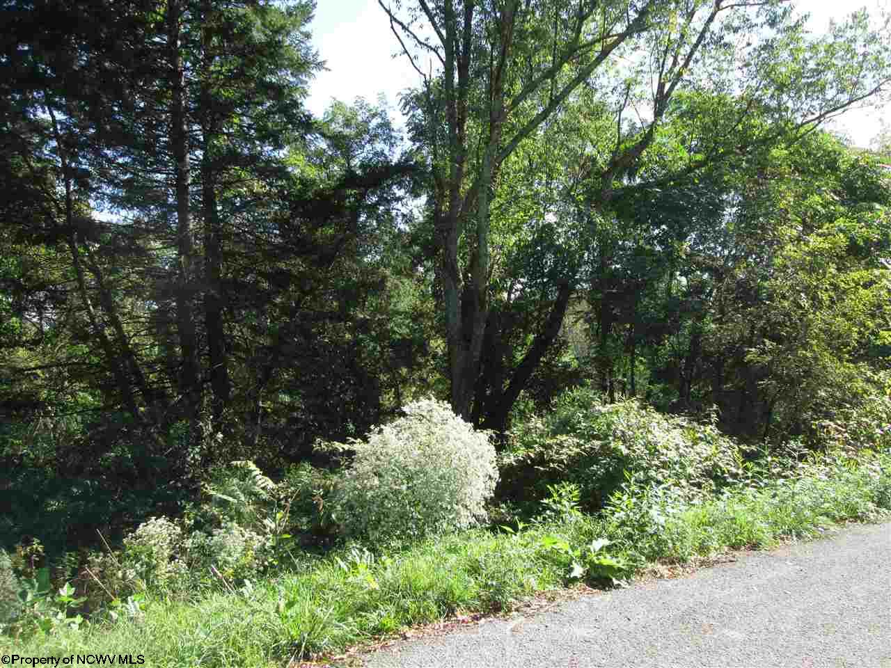 127 Ashbury Lane