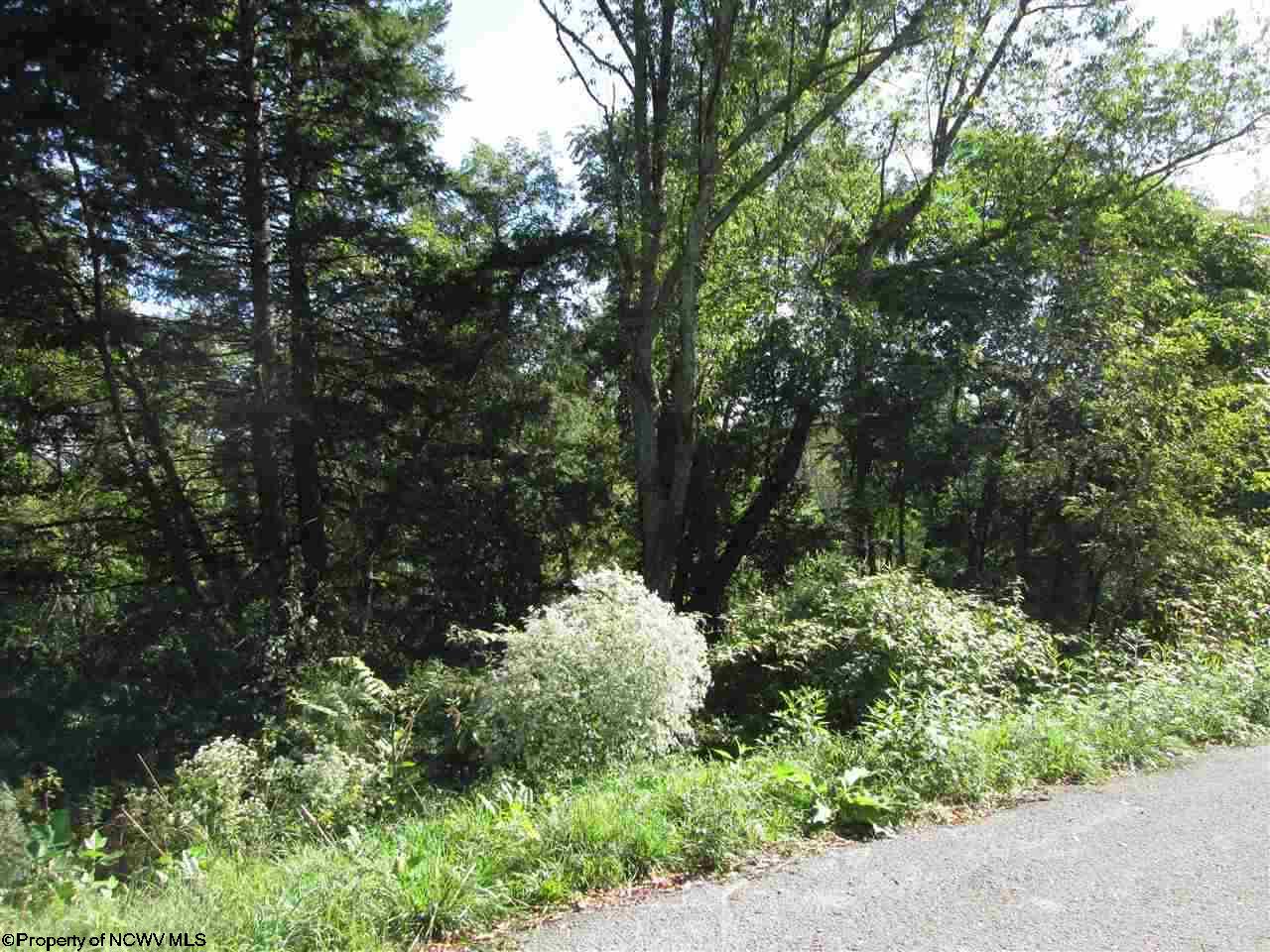 127 Ashbury Lane