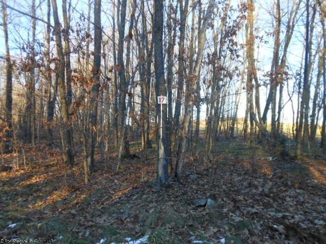 102 Indian Camp Run Road
