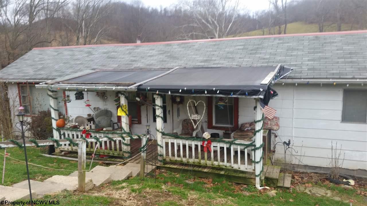 899 Plum Run Road, Mannington, WV 26582