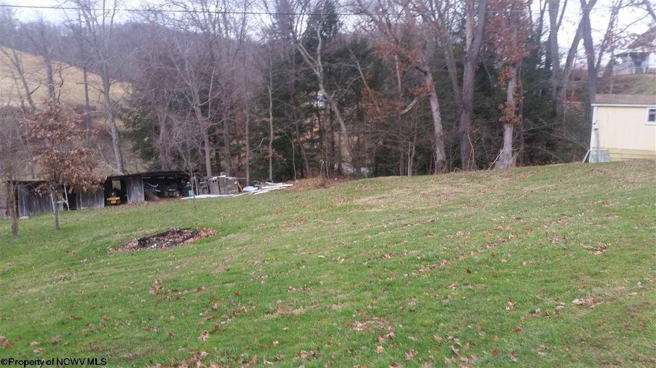 899 Plum Run Road, Mannington, WV 26582