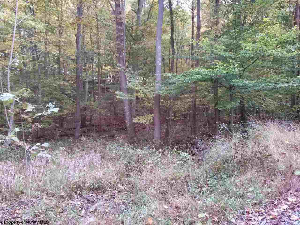 32 Ac Huey Run Road