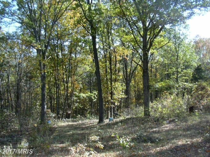 26 SLEEPY MEADOWS, Augusta, WV 26704