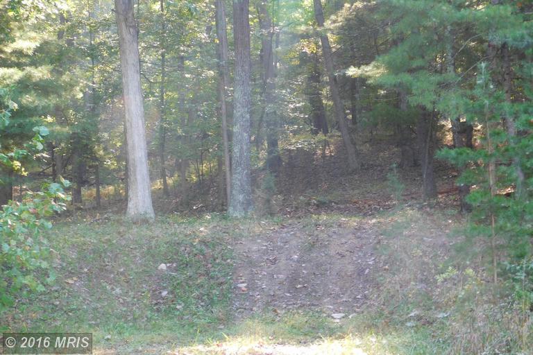 LOT 8 NORTH RIVER RD, Augusta, WV 26704