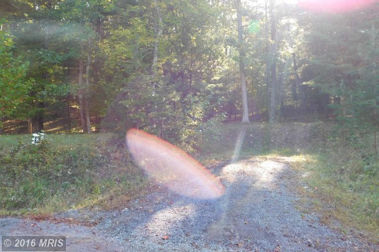 LOT 8 NORTH RIVER RD, Augusta, WV 26704