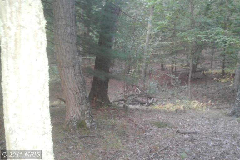 LOT 8 NORTH RIVER RD, Augusta, WV 26704