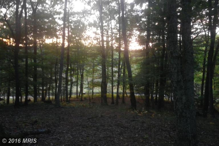 LOT 8 NORTH RIVER RD, Augusta, WV 26704