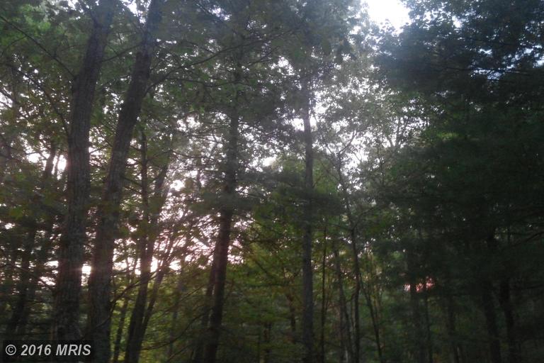 LOT 8 NORTH RIVER RD, Augusta, WV 26704