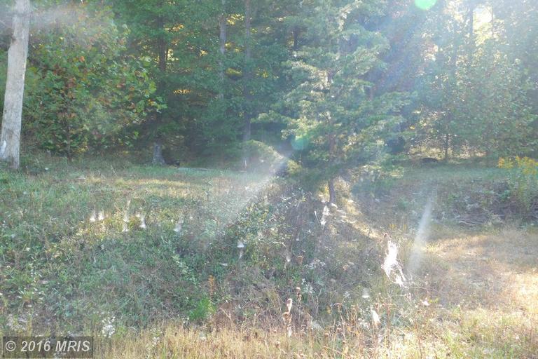 LOT 7 NORTH RIVER RD, Augusta, WV 26704
