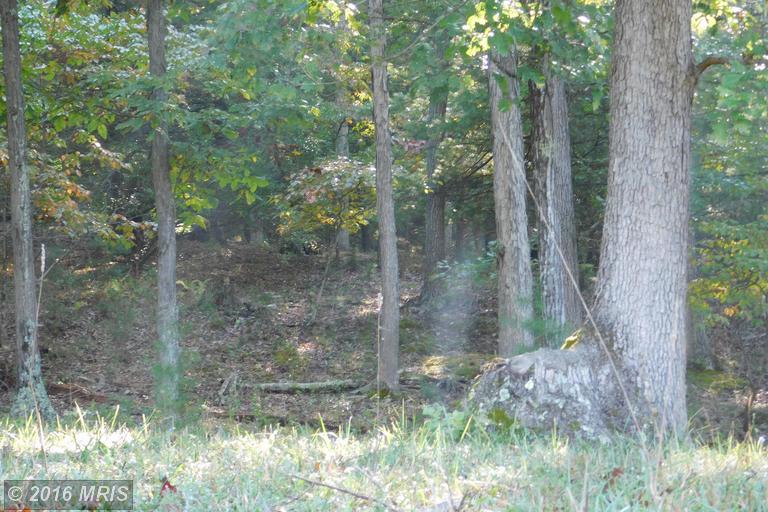 LOT 7 NORTH RIVER RD, Augusta, WV 26704