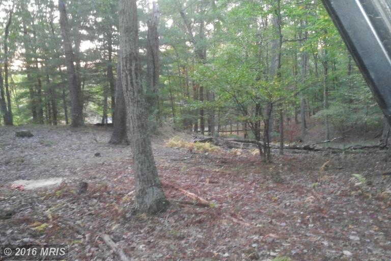 LOT 7 NORTH RIVER RD, Augusta, WV 26704