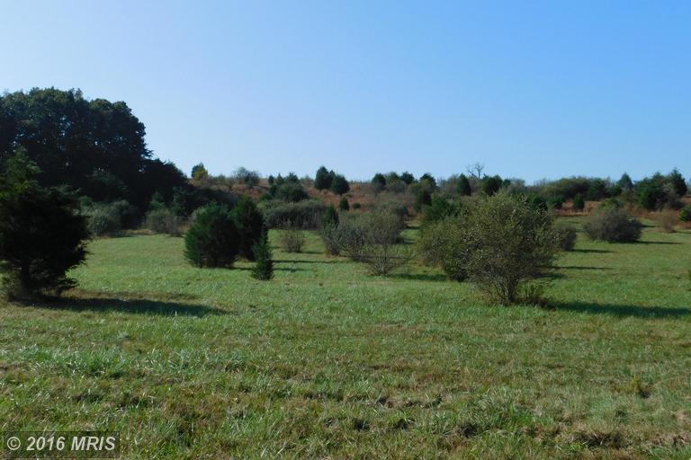 LOT 19 NORTH RIVER RD, Augusta, WV 26704