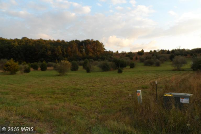 LOT 19 NORTH RIVER RD, Augusta, WV 26704