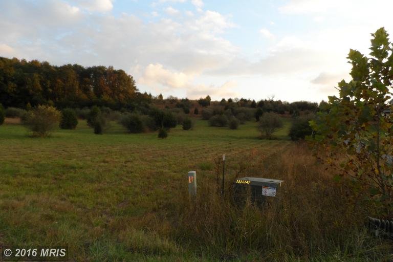 LOT 19 NORTH RIVER RD, Augusta, WV 26704