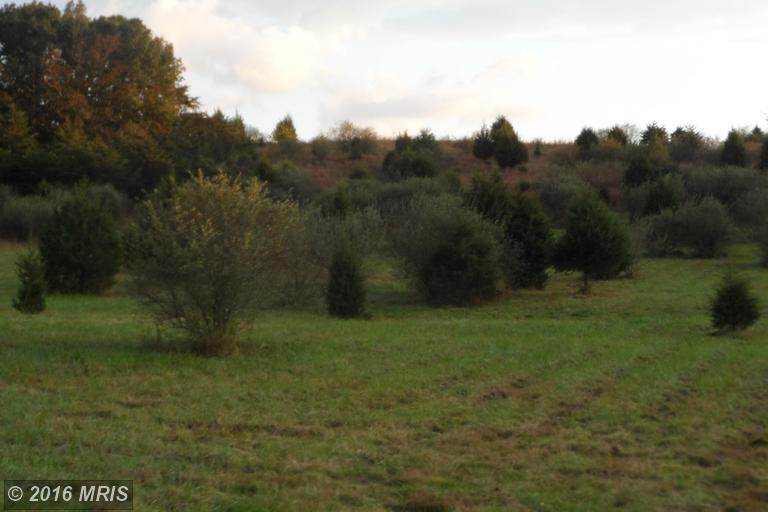 LOT 19 NORTH RIVER RD, Augusta, WV 26704