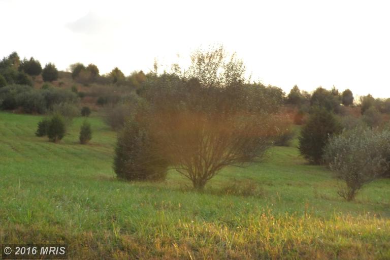 LOT 19 NORTH RIVER RD, Augusta, WV 26704