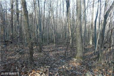 KIPPS CHESTNUT MOORES DRIVE, Augusta, WV 26704