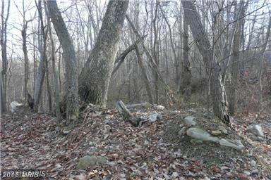 KIPPS CHESTNUT MOORES DRIVE, Augusta, WV 26704
