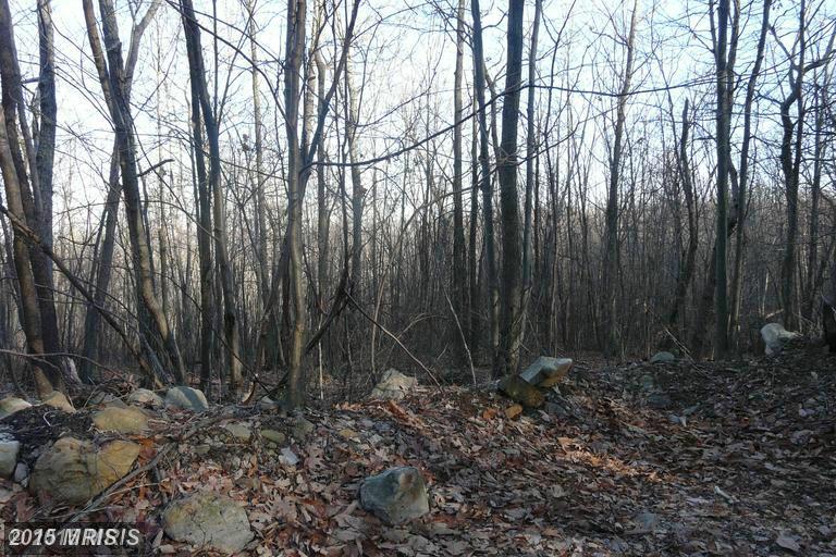 KIPPS CHESTNUT MOORES DRIVE, Augusta, WV 26704