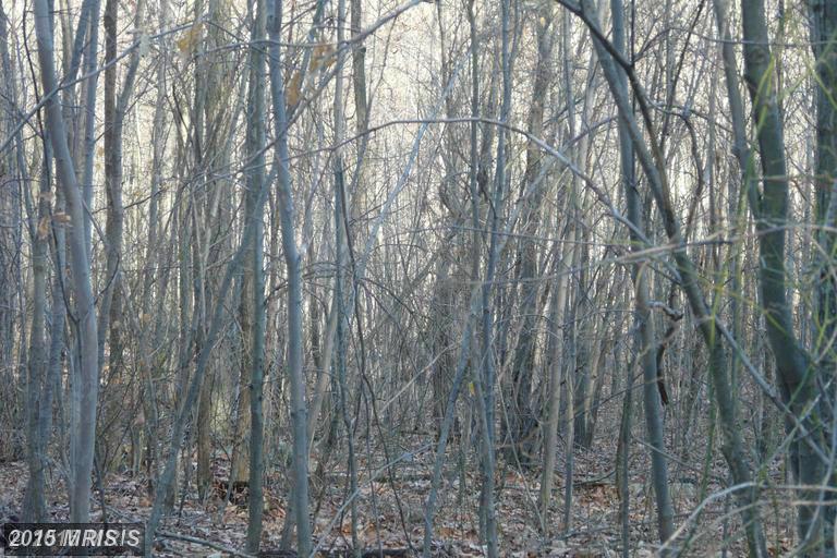 LOT E CHESTNUT DRIVE, Augusta, WV 26704