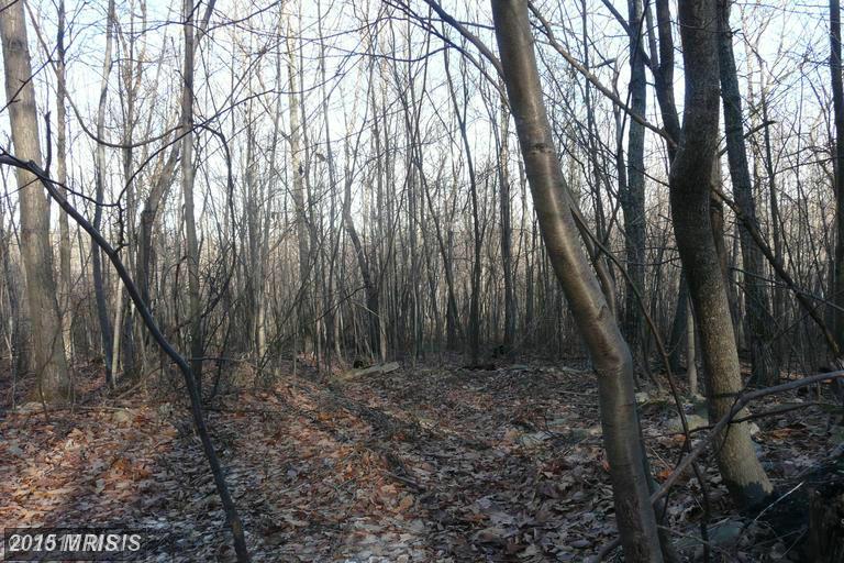 LOT E CHESTNUT DRIVE, Augusta, WV 26704