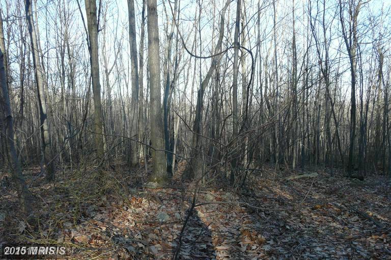 LOT E CHESTNUT DRIVE, Augusta, WV 26704