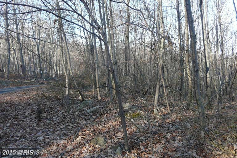 LOT E CHESTNUT DRIVE, Augusta, WV 26704