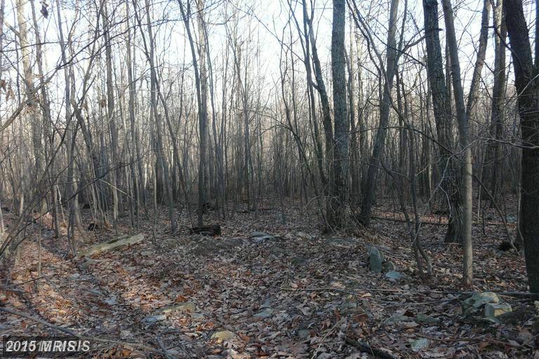 LOT E CHESTNUT DRIVE, Augusta, WV 26704