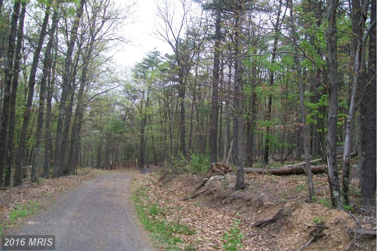 TOBACCO ROAD, Augusta, WV 26704
