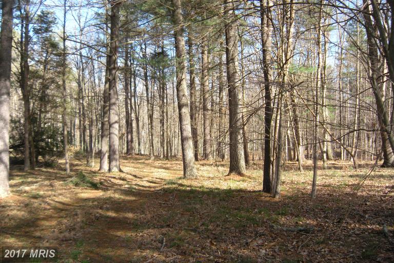 LOT #46 RIVERWOOD TRAIL TRAIL, Augusta, WV 26704