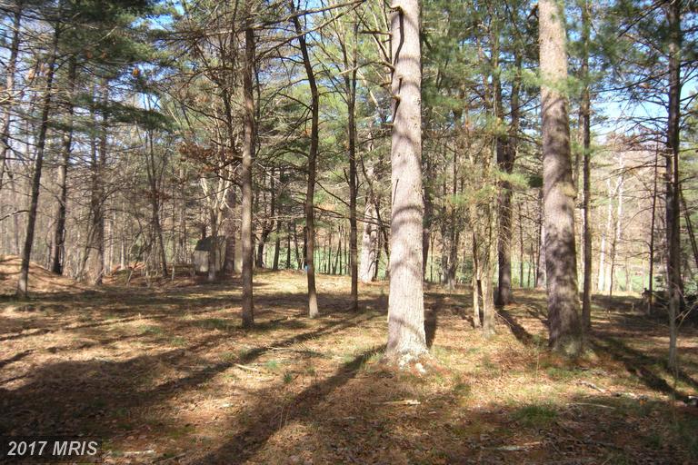 LOT #46 RIVERWOOD TRAIL TRAIL, Augusta, WV 26704