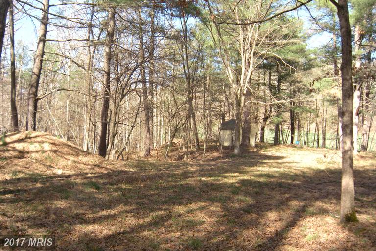 LOT #46 RIVERWOOD TRAIL TRAIL, Augusta, WV 26704