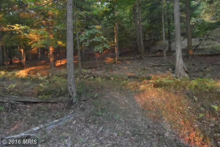 LOT 2 NORTH RIVER RD, Augusta, WV 26704