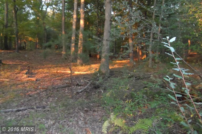 LOT 2 NORTH RIVER RD, Augusta, WV 26704