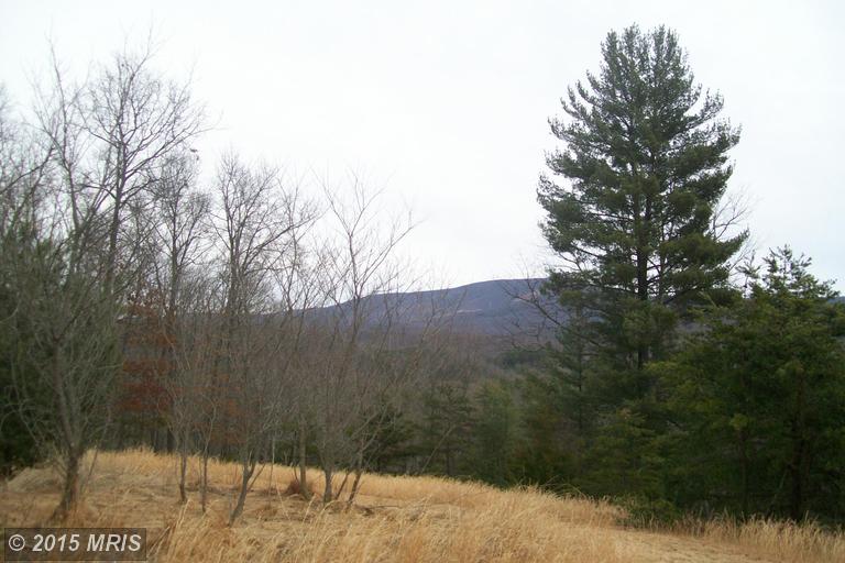 Rt. 29 South