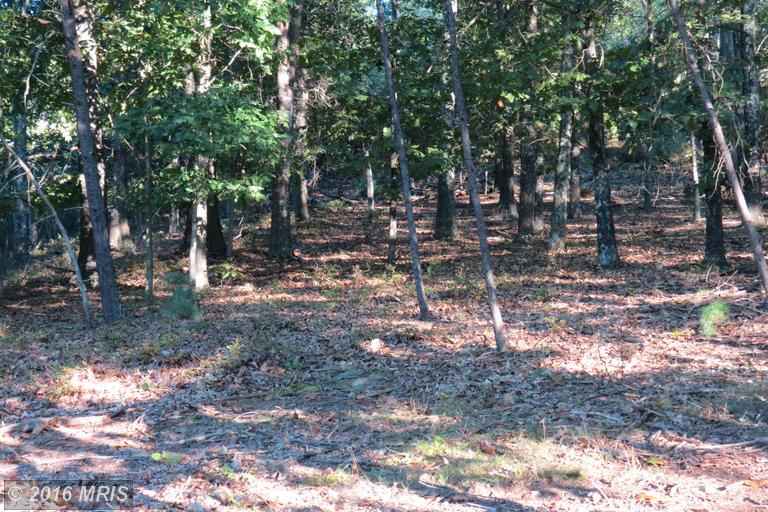 TRINITY / PINE CONE Rd, Burlington, WV 26710