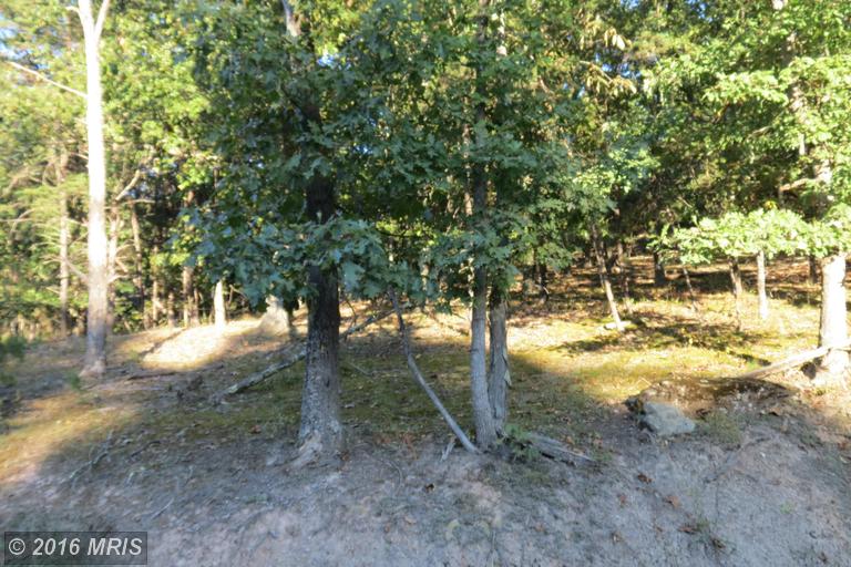 TRINITY / PINE CONE Rd, Burlington, WV 26710