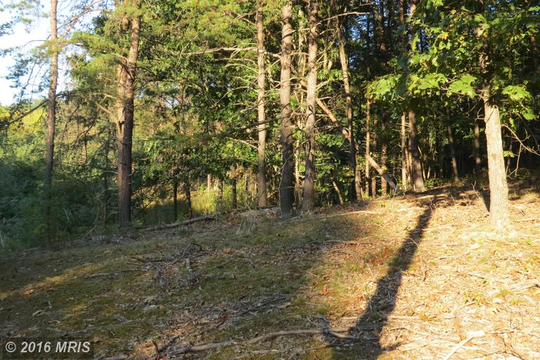 TRINITY / PINE CONE Rd, Burlington, WV 26710