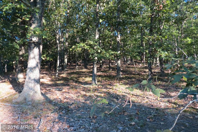 TRINITY / PINE CONE Rd, Burlington, WV 26710