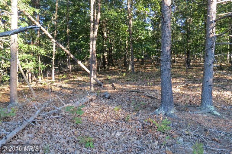 TRINITY / PINE CONE Rd, Burlington, WV 26710