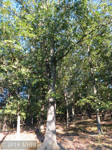 TRINITY / PINE CONE Rd, Burlington, WV 26710