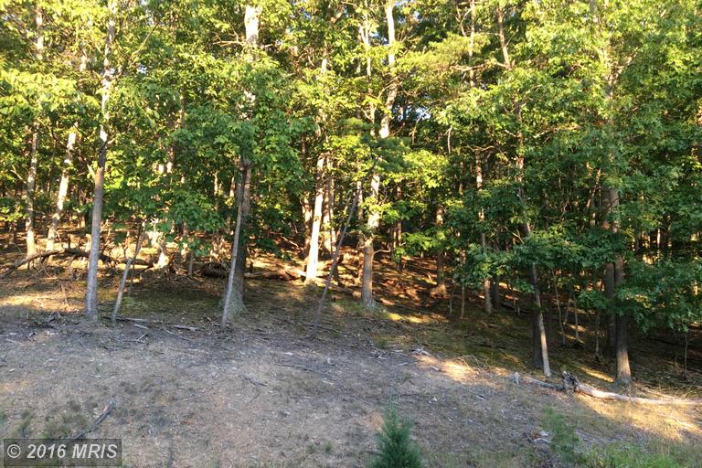 MOON RIDGE LANE, Burlington, WV 26710