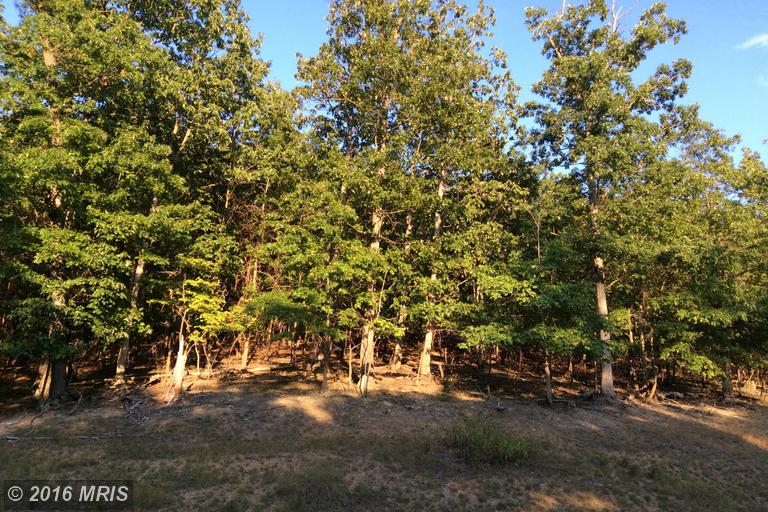MOON RIDGE LANE, Burlington, WV 26710