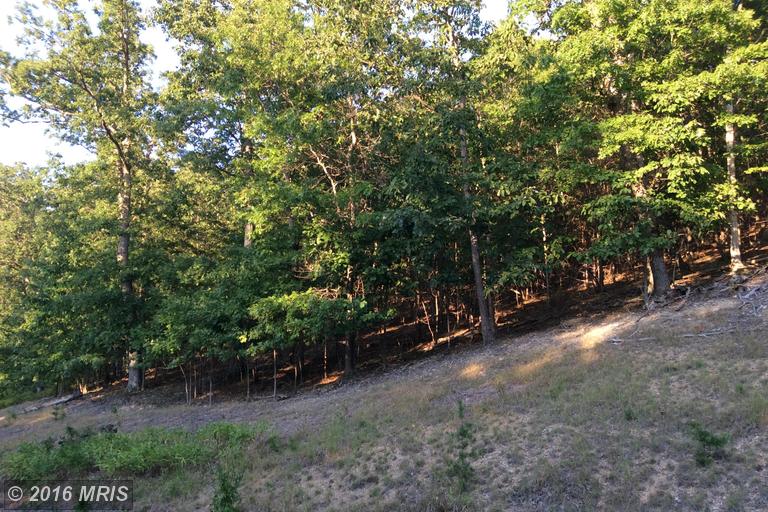 MOON RIDGE LANE, Burlington, WV 26710