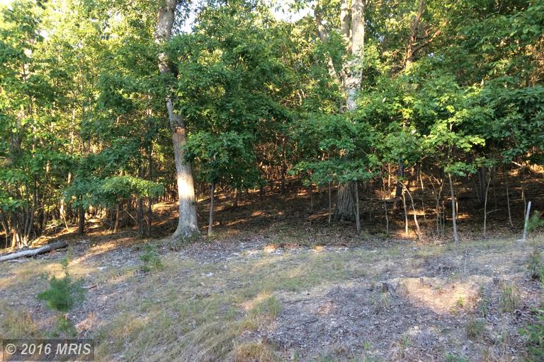 MOON RIDGE LANE, Burlington, WV 26710