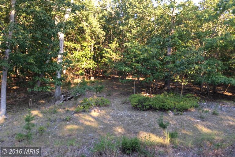 MOON RIDGE LANE, Burlington, WV 26710