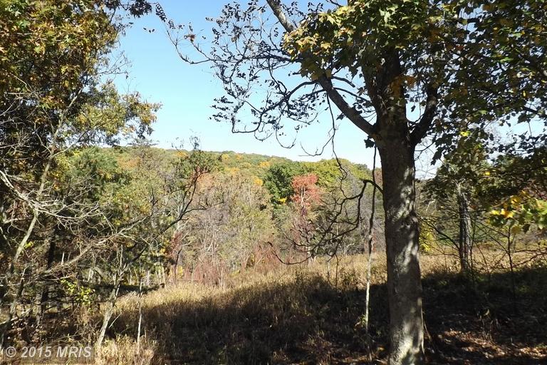 Deer Run Road